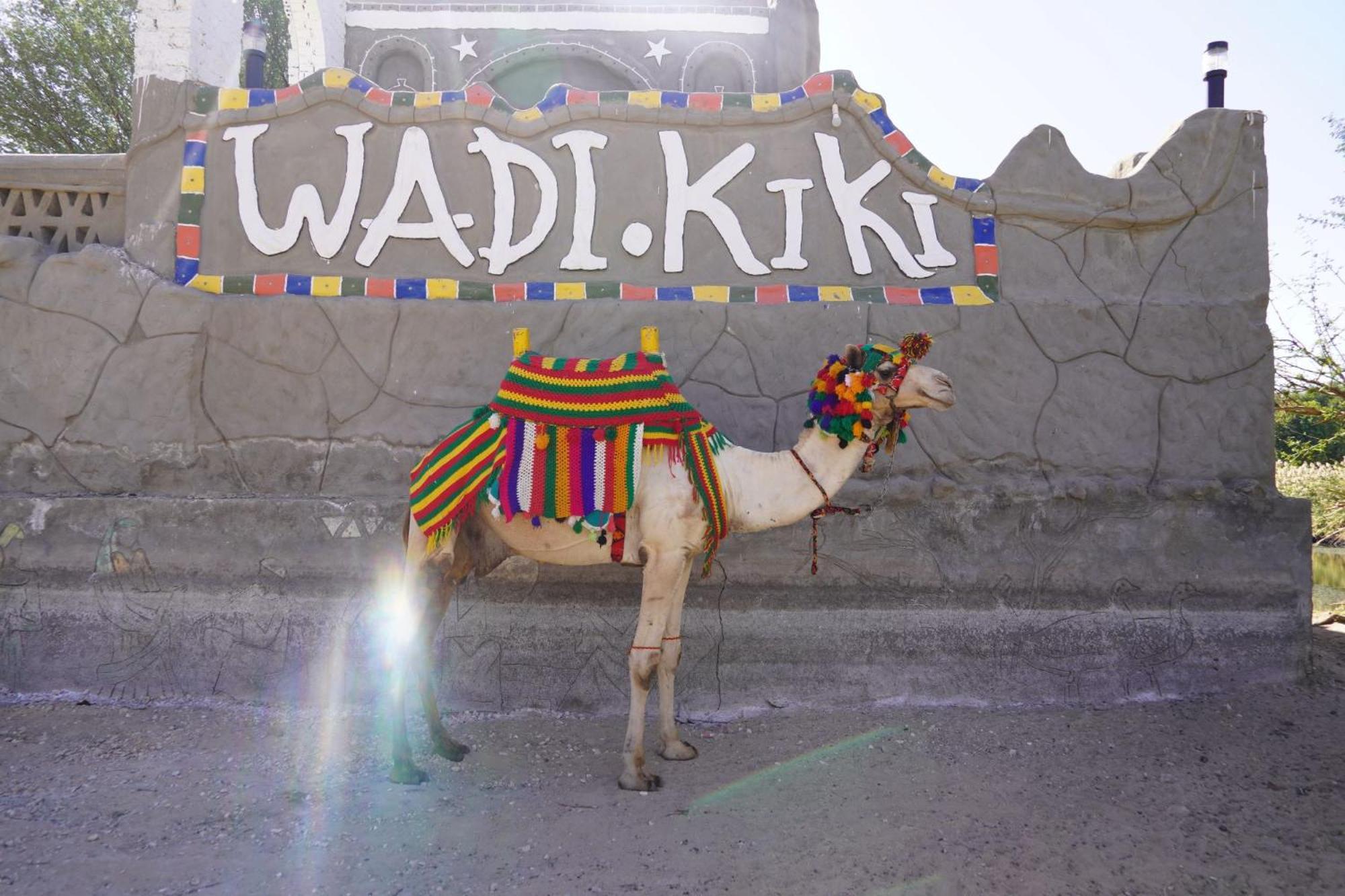 Artika Wadi Kiki Hotel Асуан Экстерьер фото